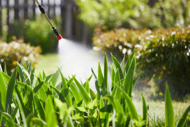 24/7 Emergency Termite Control experts in Prosser, WA